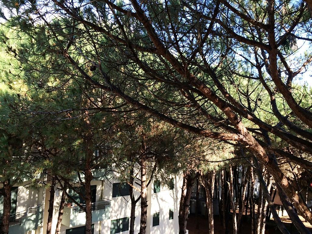 Golem Apartments Δωμάτιο φωτογραφία